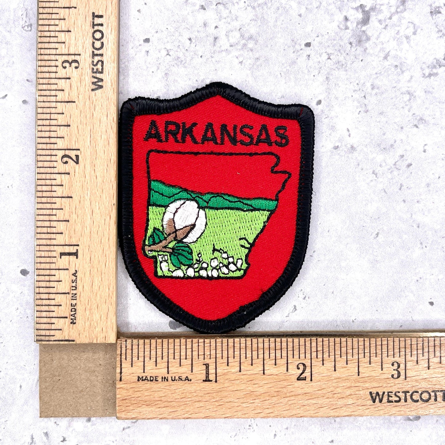Vintage Arkansas State Patch • 80s Apple Blossom Travel Souvenir • Iron-On NOS