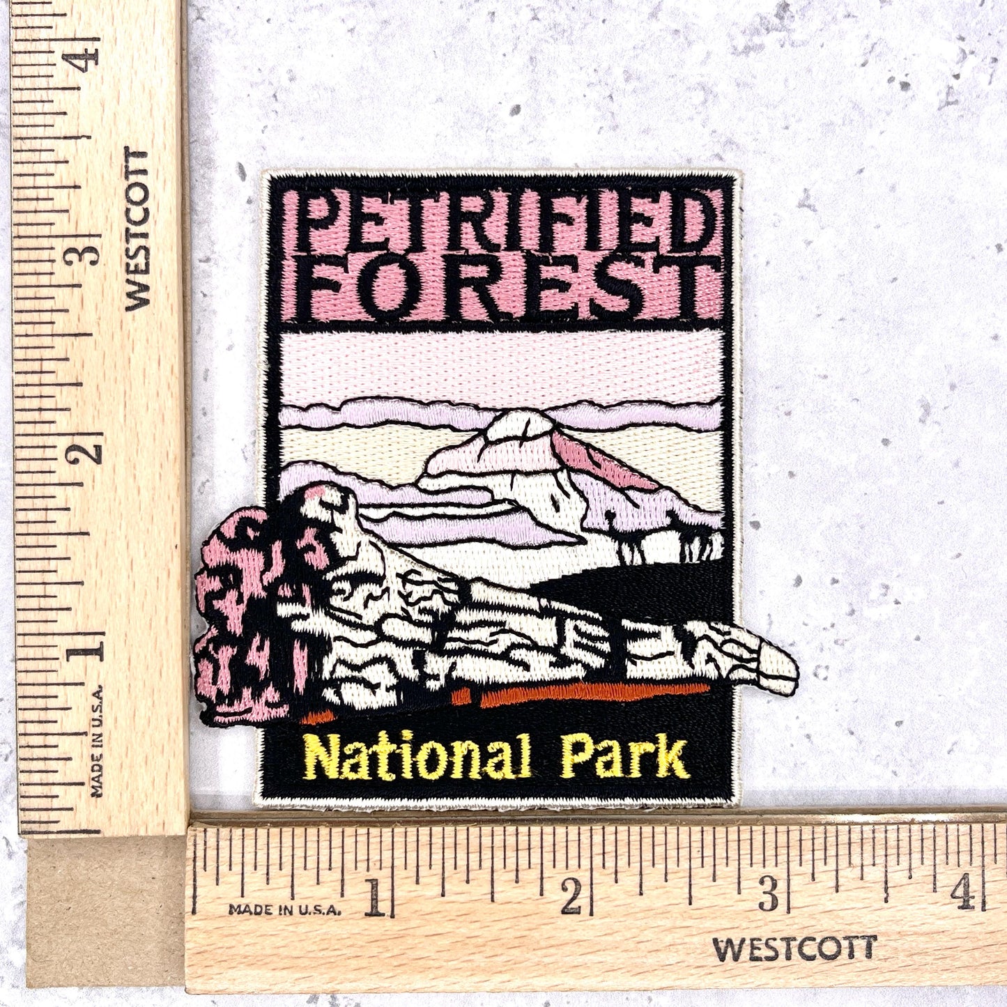 Petrified Forest National Park Patch • Arizona Fossil Wood Souvenir • Iron-On
