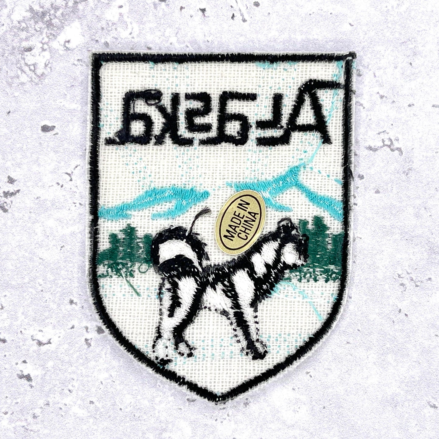 Vintage Alaska State Patch • 80s Husky Travel Souvenir NOS