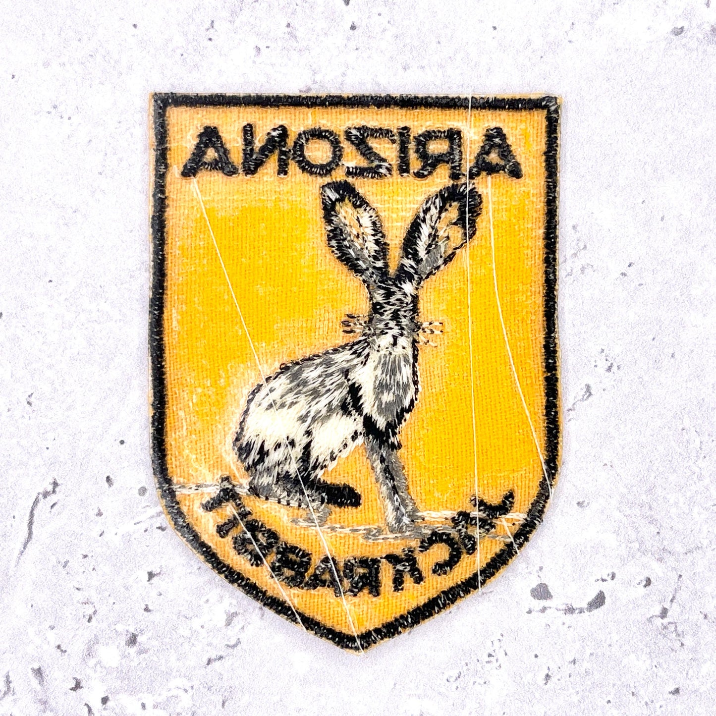 Vintage Arizona Patch • Jackrabbit State Wildlife Souvenir • Iron-On NOS