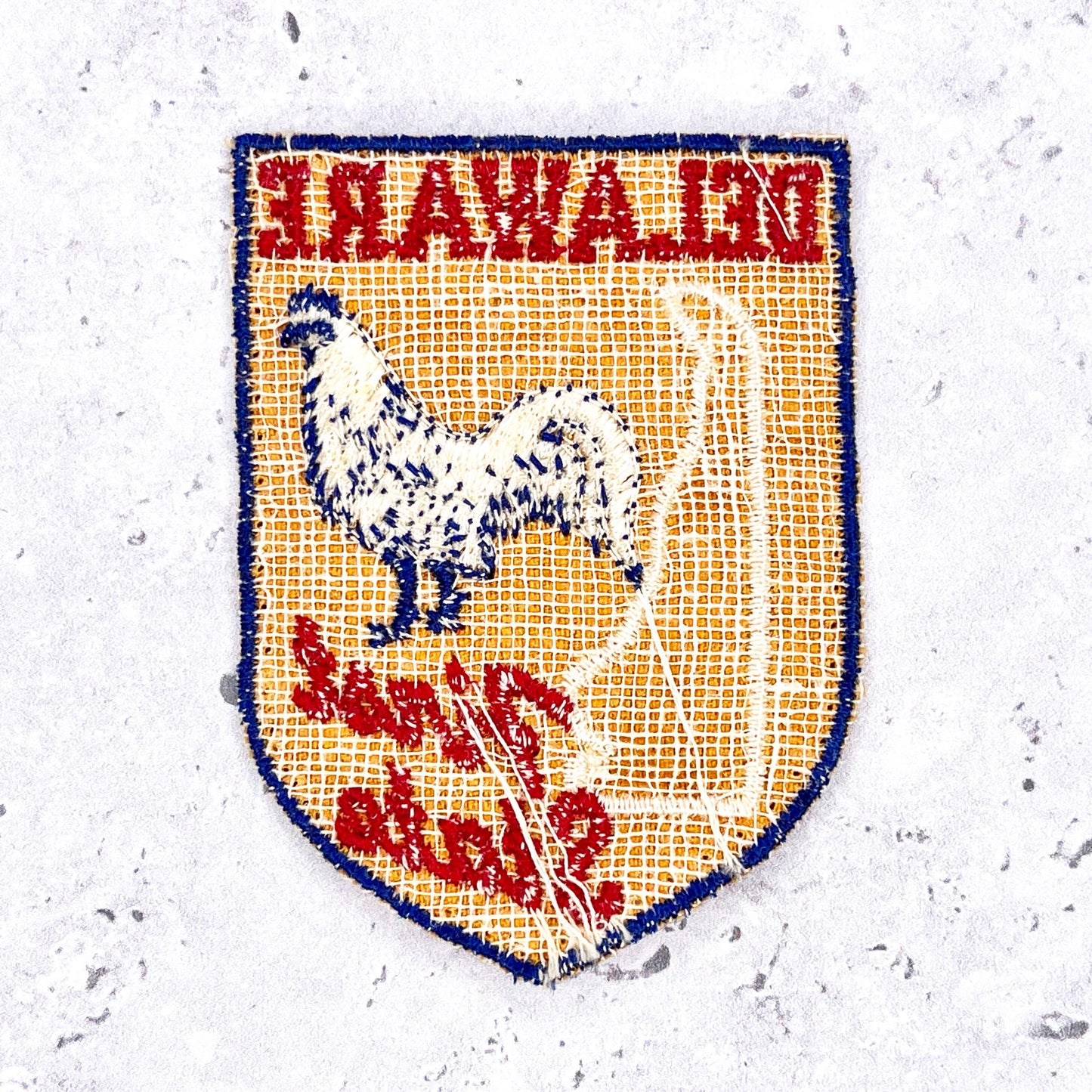 Vintage Delaware Patch • First State Blue Hen State Souvenir • Sew-On Used