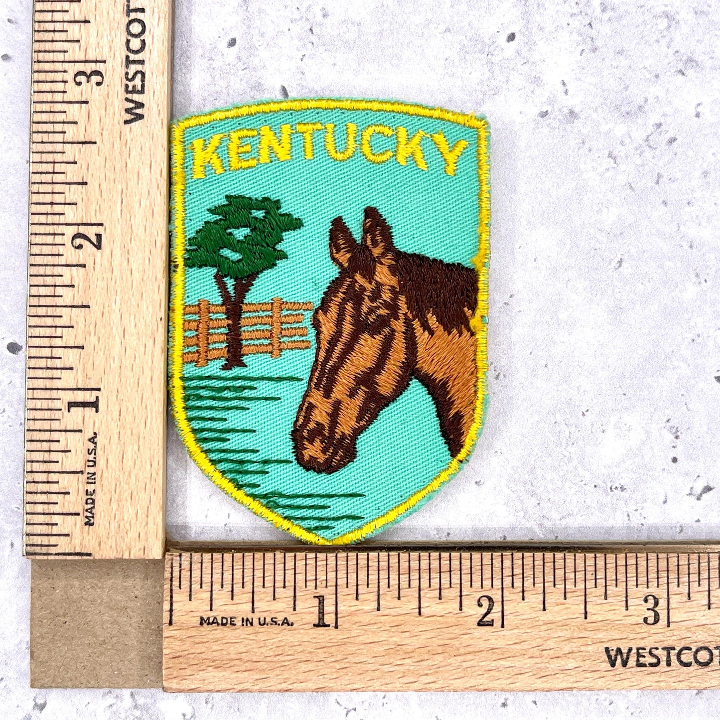 Vintage Kentucky State Patch • Horse Derby Travel Souvenir • Sew-On Badge