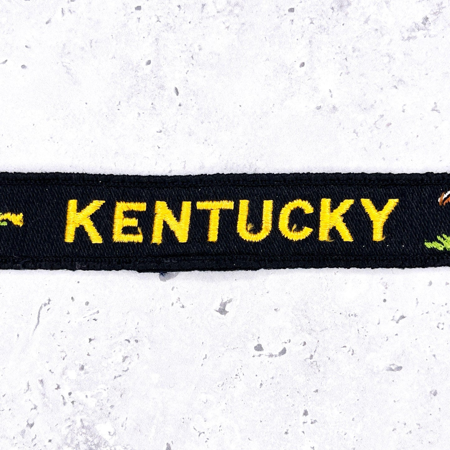Vintage Kentucky Patch • Goldenrod State Flower Horses Derby • Sew-On 8.5" x 1"
