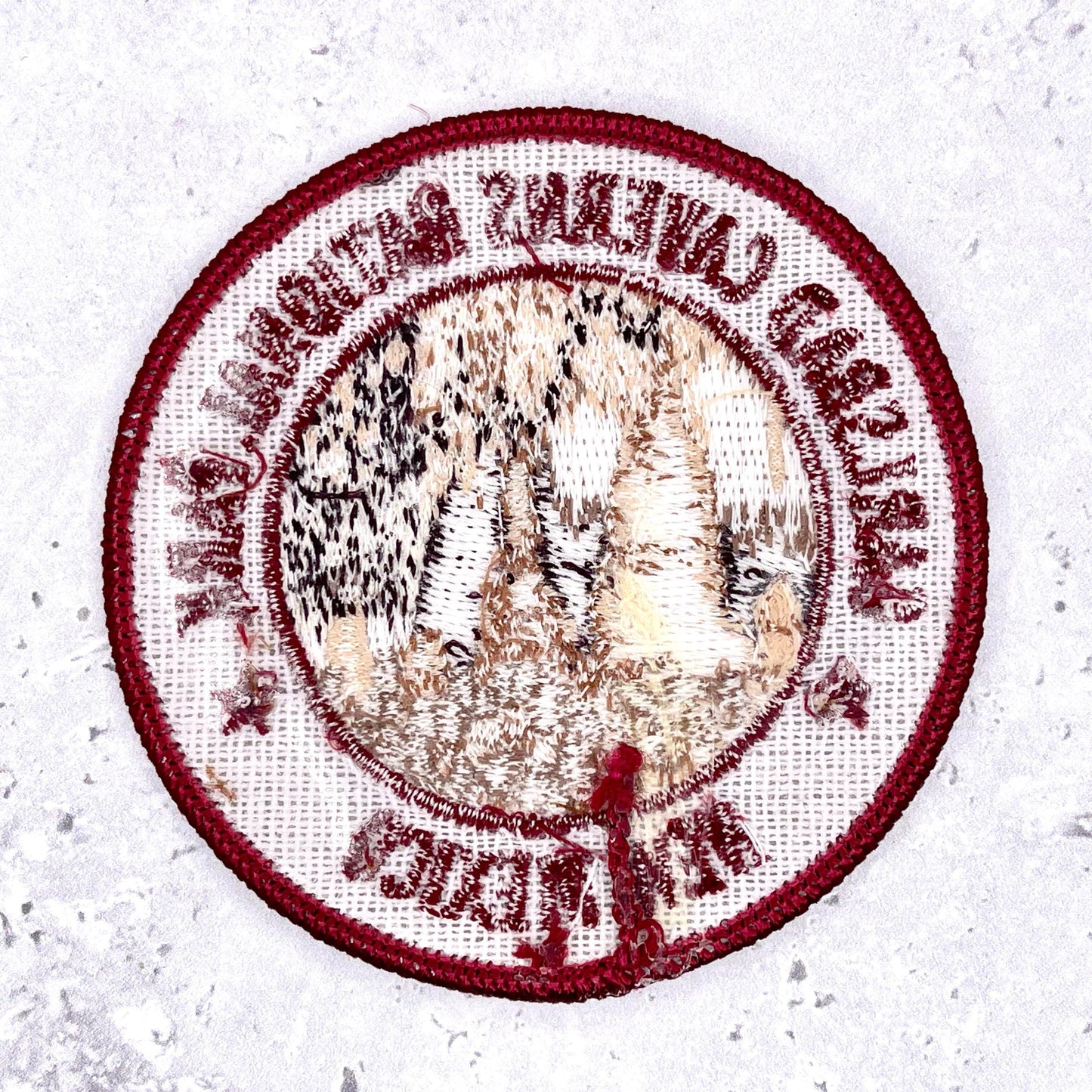 Carlsbad Caverns Patch • National Park New Mexico Souvenir • Y2K Iron-On NOS