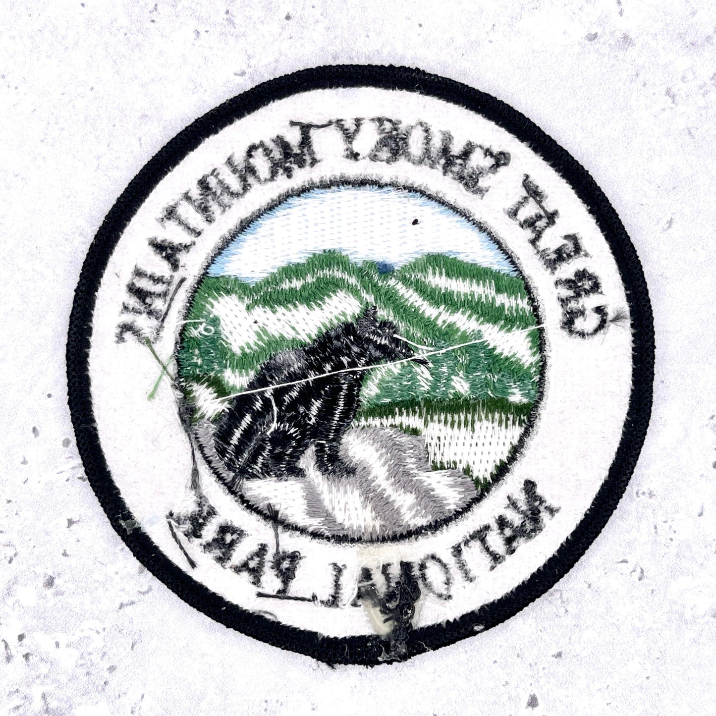 Great Smoky Mountains National Park Patch • Appalachian Black Bear Souvenir • Iron-On