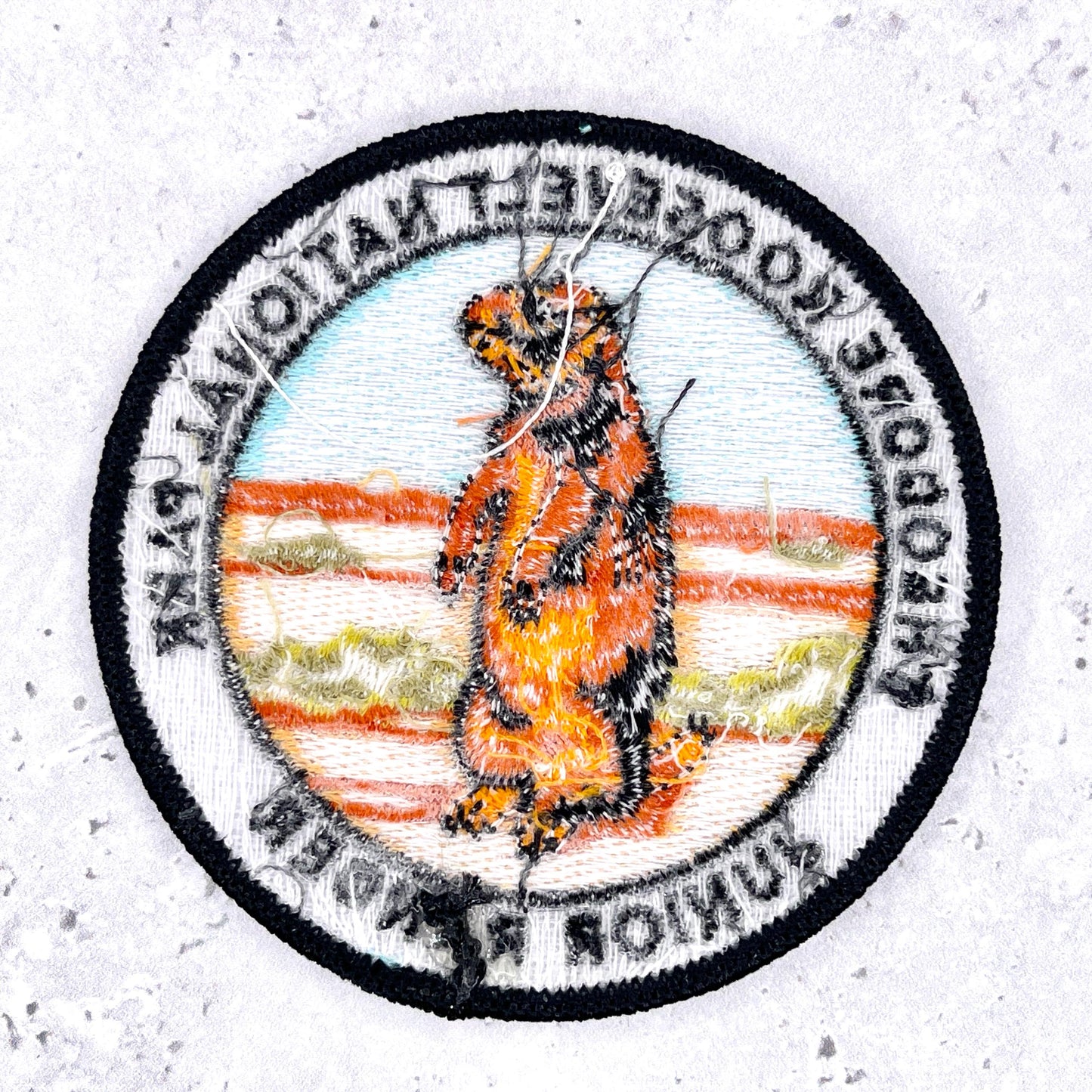 Theodore Roosevelt National Park Patch • Junior Ranger Prairie Dog • Iron-On