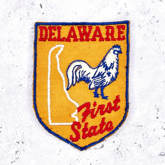 Vintage Delaware Patch • First State Blue Hen State Souvenir • Sew-On Used