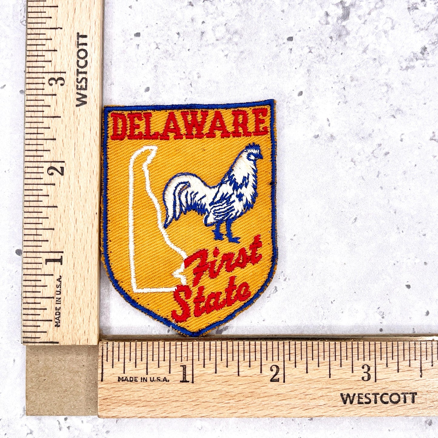 Vintage Delaware Patch • First State Blue Hen State Souvenir • Sew-On Used