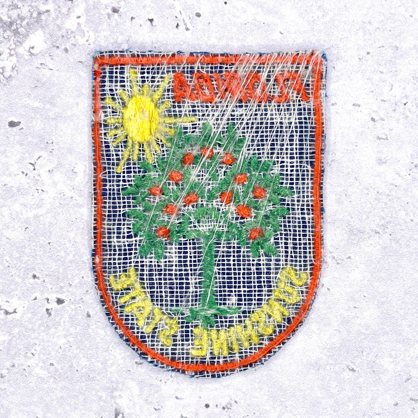 Vintage Florida State Patch • Sunshine Oranges Travel Souvenir • Sew-On