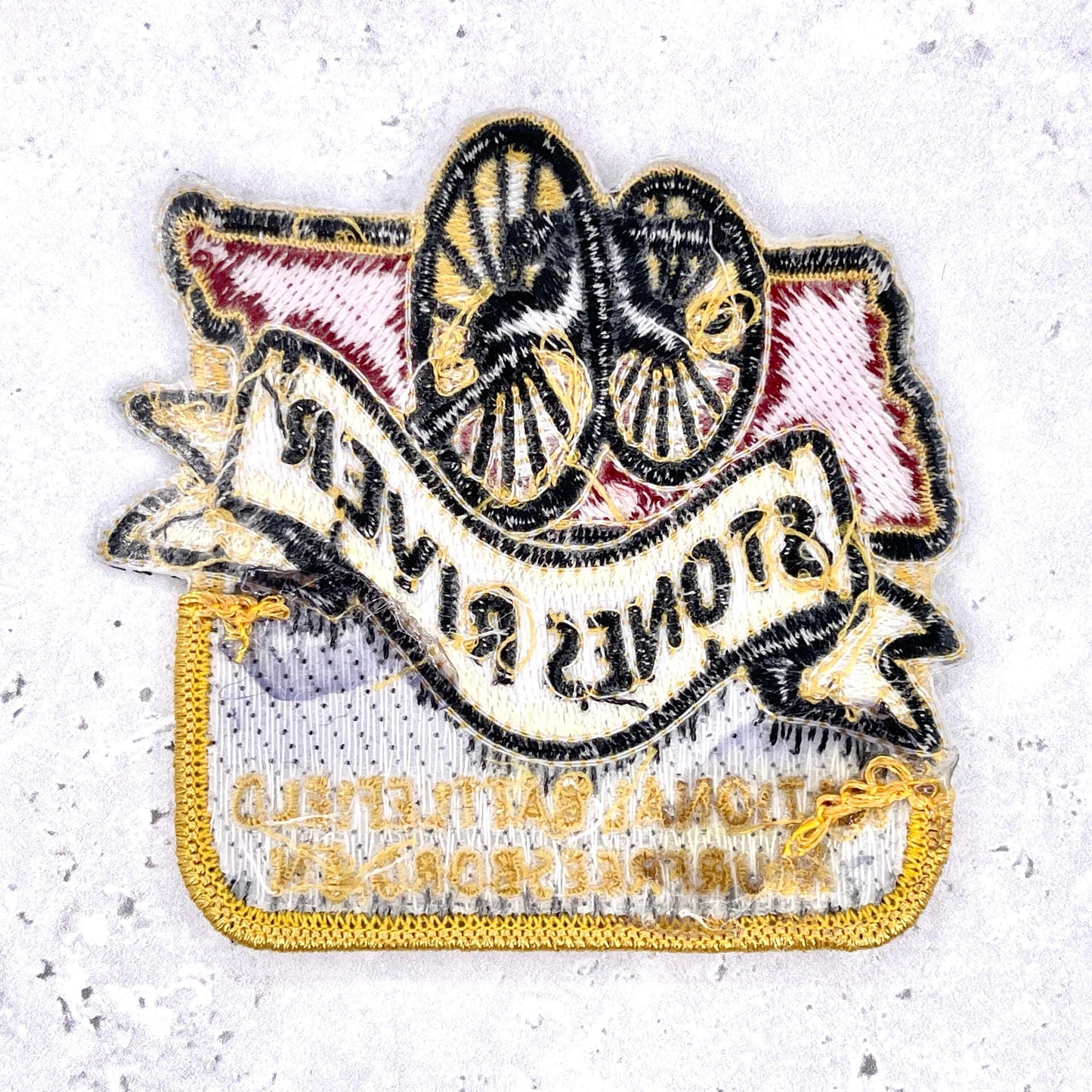 Stones River National Battlefield Patch • Murfreesboro Tennessee Civil War • Y2K Iron-On NOS