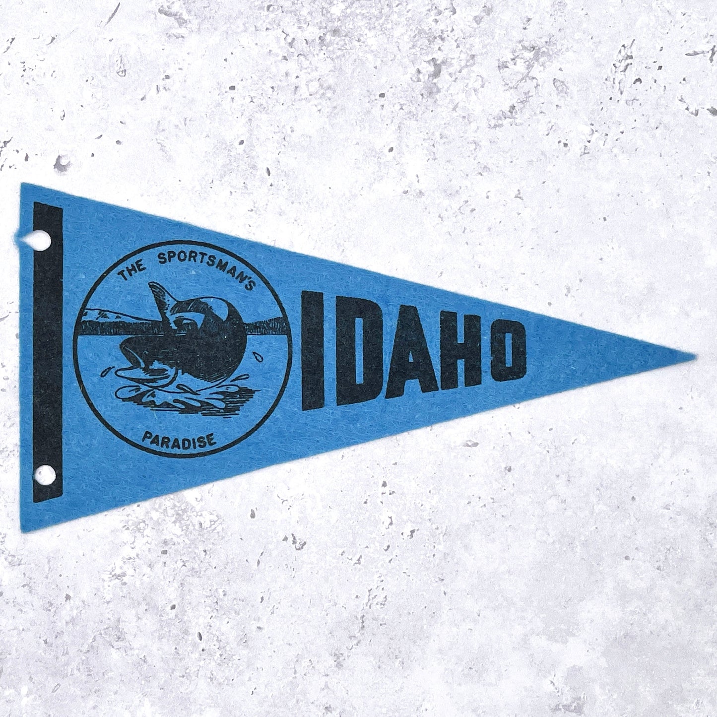 Vintage Idaho Mini Pennant 60s 70s Felt Fishing State Souvenir 4" x 7.5"