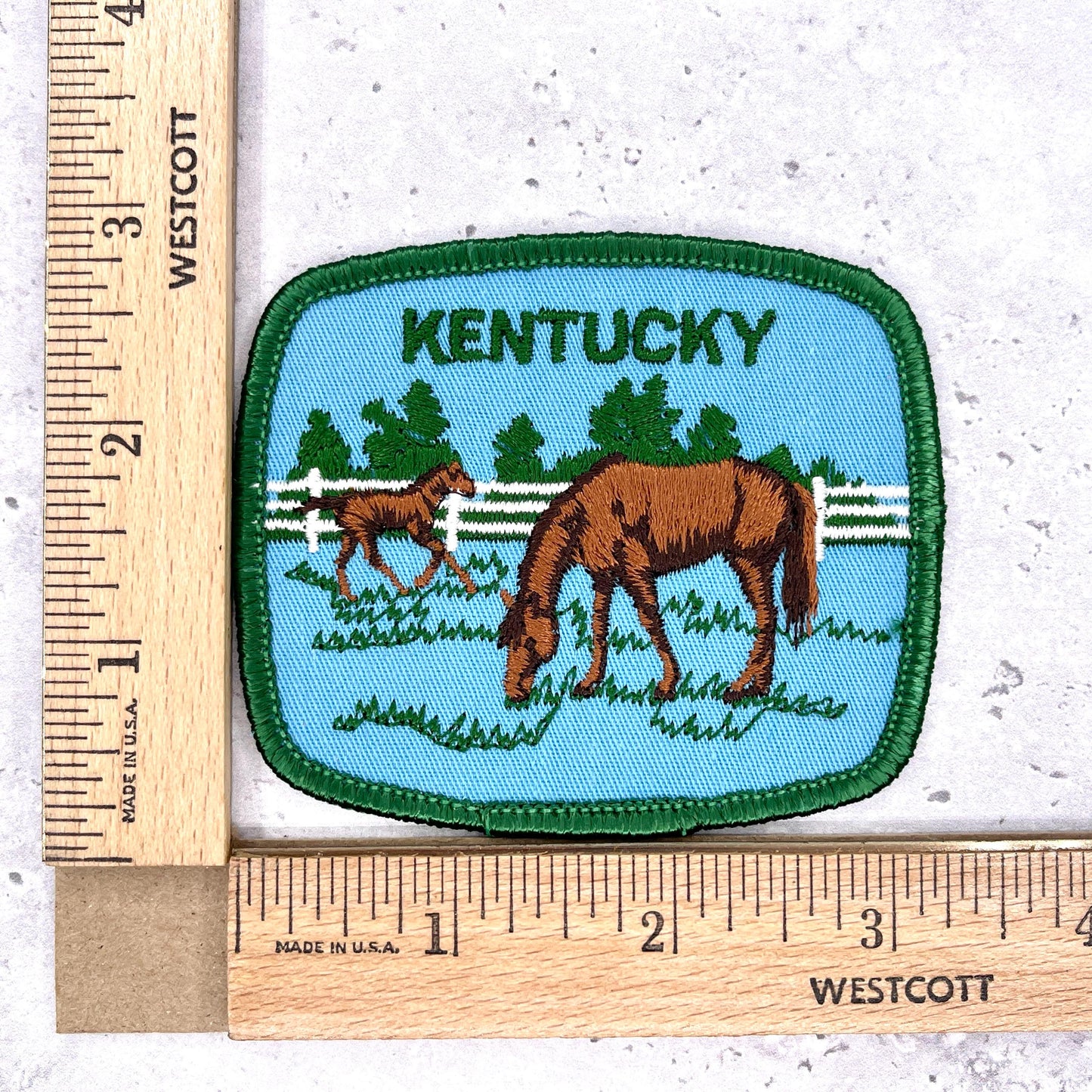 Vintage Kentucky Patch • State Horses Derby Travel Souvenir • Iron-On Badge NOS