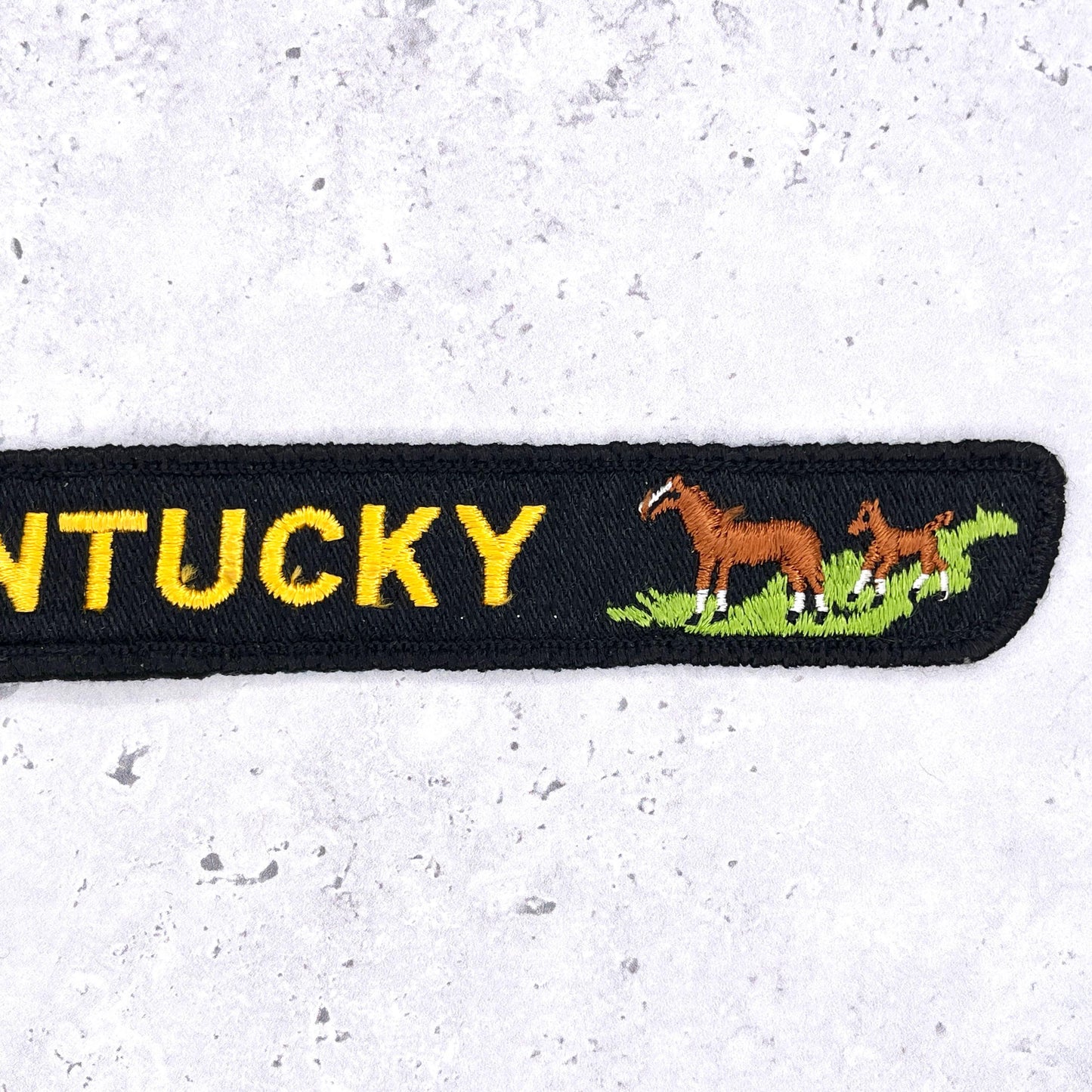 Vintage Kentucky Patch • Goldenrod State Flower Horses Derby • Sew-On 8.5" x 1"