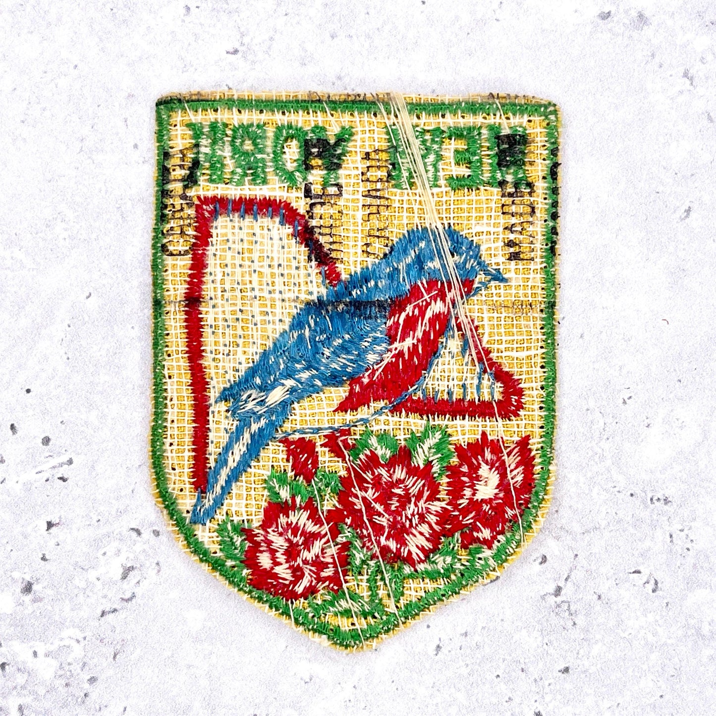 Vintage New York Patch • Eastern Bluebird Rose State Souvenir • Sew-On Used